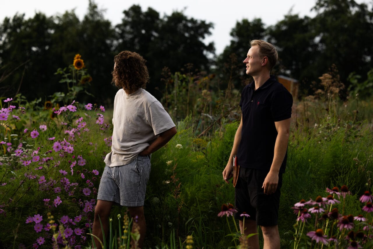 Het team van Mearkas in de pluktuin